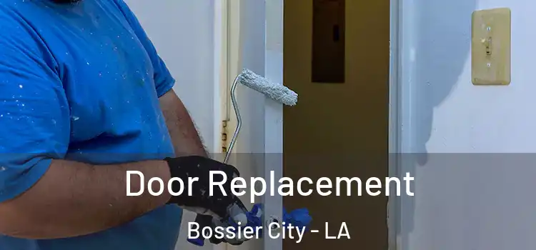  Door Replacement Bossier City - LA
