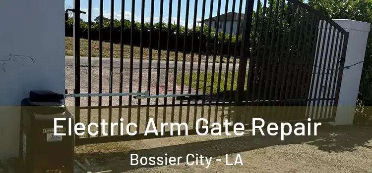 Electric Arm Gate Repair Bossier City - LA