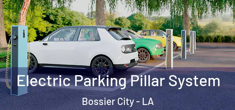  Electric Parking Pillar System Bossier City - LA