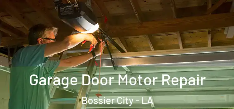  Garage Door Motor Repair Bossier City - LA