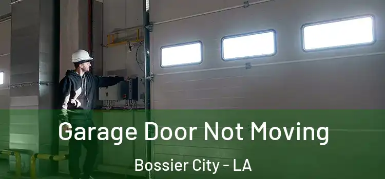  Garage Door Not Moving Bossier City - LA