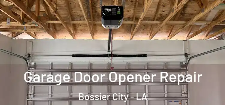  Garage Door Opener Repair Bossier City - LA
