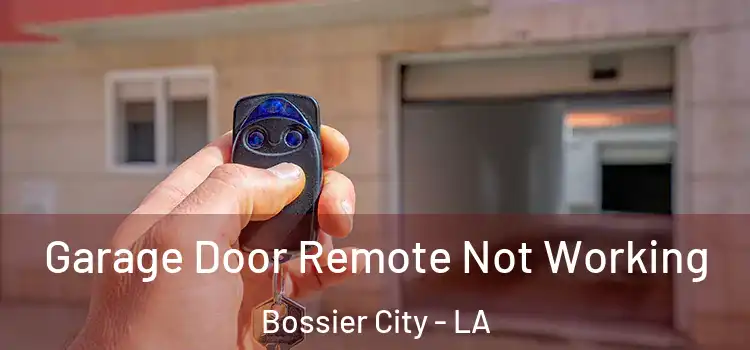  Garage Door Remote Not Working Bossier City - LA
