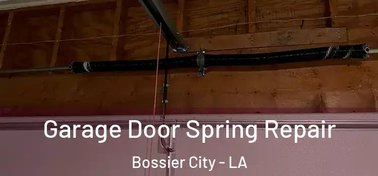  Garage Door Spring Repair Bossier City - LA