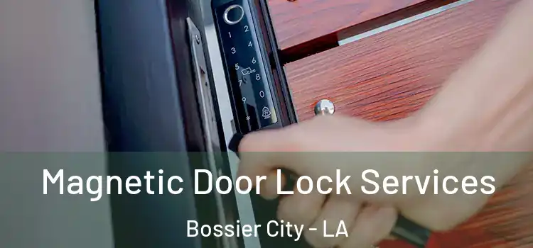 Magnetic Door Lock Services Bossier City - LA