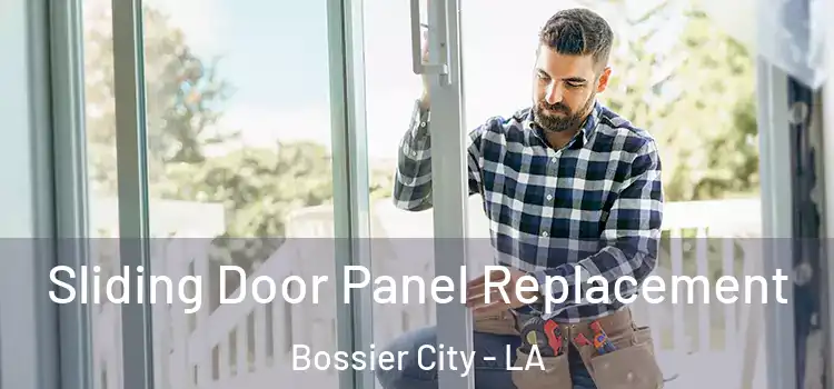  Sliding Door Panel Replacement Bossier City - LA