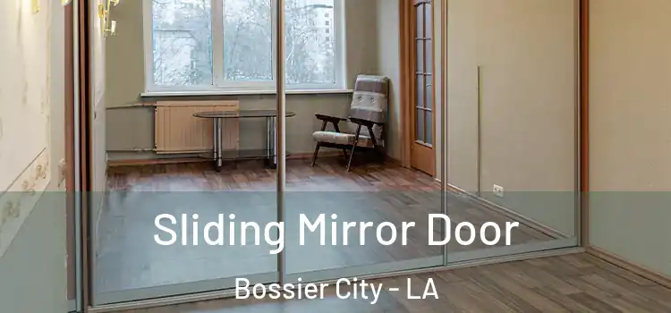  Sliding Mirror Door Bossier City - LA